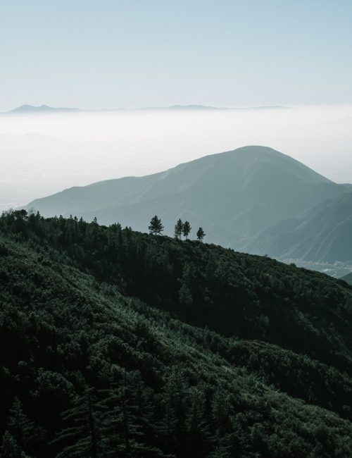 majestic-view-forest-surrounded-by-mountains-big-bear-california_181624-29110