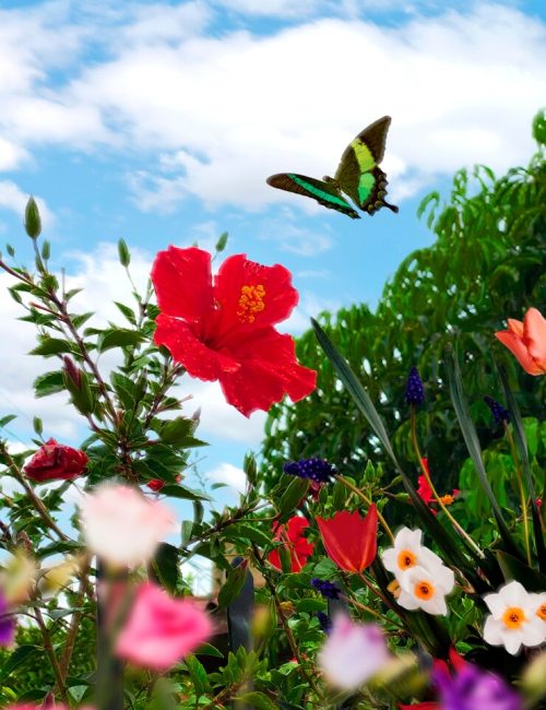 spring-landscape-with-flowers-butterflies_52683-107768